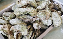 刘亦菲是男人得到确凿证据